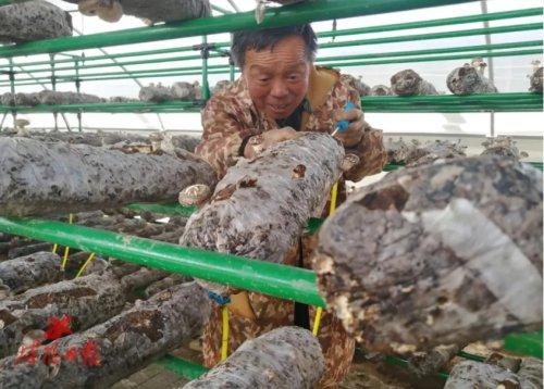娱乐生活 第18页