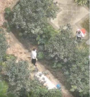 游戏专题 第11页